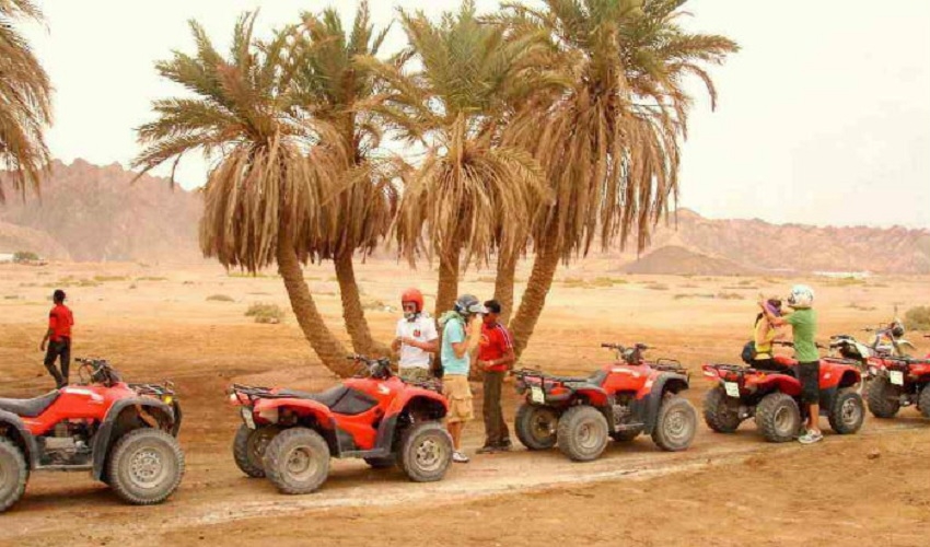 Safari Tours in Taba l Safari Excursions in Taba l Taba Day Tours